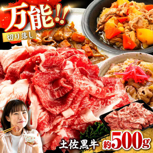 土佐黒牛　切り落し　約500g【高知県食肉センター株式会社】[ATFC020]