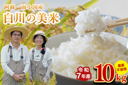 令和7年産 白川の美米 10kg 令和7年産 南小国産 玄米 白米 3分づき 5分づき 7分づき 森のくまさん 精米 米 お米 ご飯 ごはん 無農薬 農薬不使用 自然栽培 産地直送 白川自然農園 熊本 南小国 送料無料