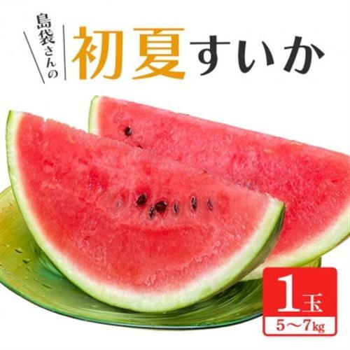 【先行受付・2027年6月上旬から順次発送】島袋さんの初夏スイカ大玉 1玉(5.0～7.0kg)【配送不可地域：離島】【1577669】