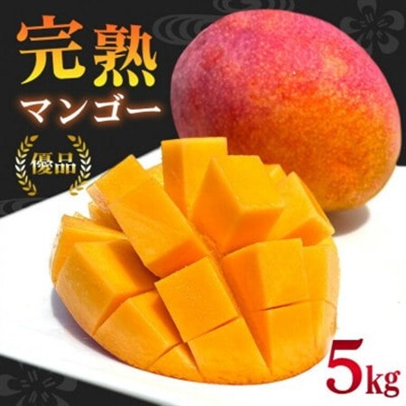 [2026年6月から順次発送]優品アーウィンマンゴー5kg(8〜12玉)[配送不可地域:離島]