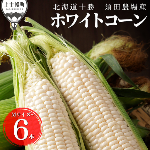 2026年産 北海道産 ホワイトコーン 計6本 北海道 上士幌町 須田農場 野菜 白い スイートコーン とうもろこし トウモロコシ 産地直送 冷蔵便 ◆2026年08月配送予定
