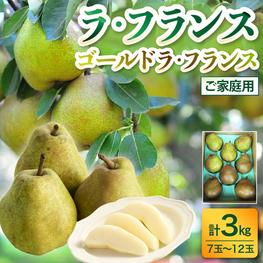 ラ・フランスとゴールドラ・フランス詰合せ　３ｋｇ　ご家庭用　0017-2624