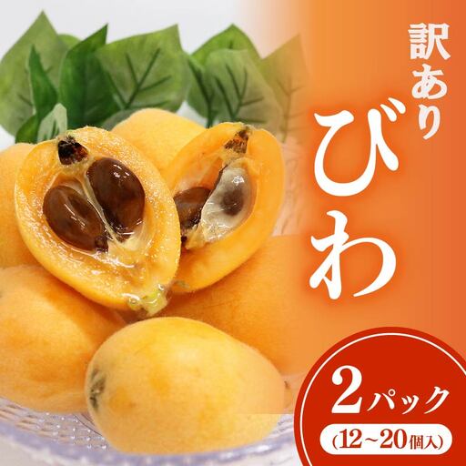 【先行予約】 びわ 12～20玉 【訳あり】 びわ rk036