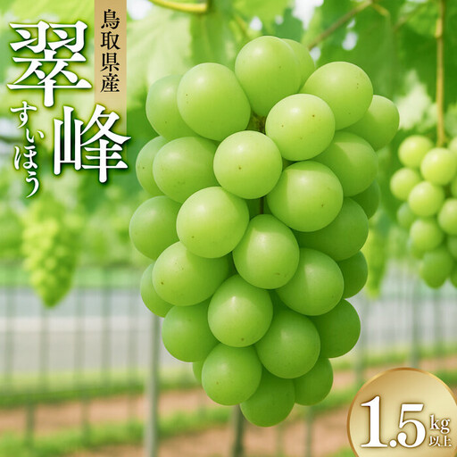 翠峰(すいほう)1.5kg以上 ※2026年9月中旬〜下旬頃に順次発送予定 ※北海道・沖縄・離島への発送不可 | ぶどう ぶどう 葡萄