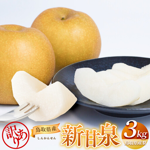 【先行予約】【訳あり】新甘泉 3kg ※2027年8月下旬頃～9月中旬頃に順次発送  梨