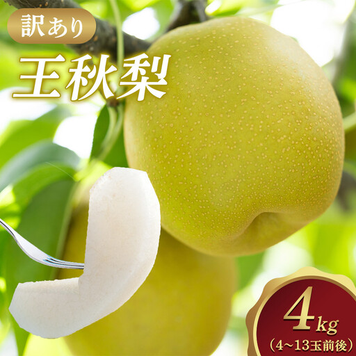 [先行予約][訳あり]王秋梨 4kg(4〜13玉前後)※2026年10月下旬〜12月上旬頃に順次発送予定 梨