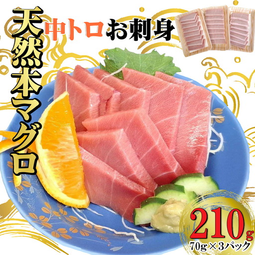 天然本マグロ 刺身パック [ 中トロ ] 210g(70g×3パック) 天然マグロ まぐろ 鮪 マグロ 刺身 お刺身用 とろ 中とろ 高知 室戸 冷凍 瞬間冷凍 小分け 便利 12,000円