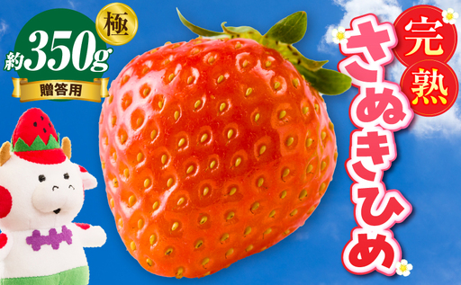 [先行予約]贈答用 完熟さぬき姫 極み 約350g | いちご 苺 さぬき姫 さぬきひめ 香川県オリジナル 希少 甘い 完熟 フルーツ 果物 旬 香川県 三木町 |_mk035-003