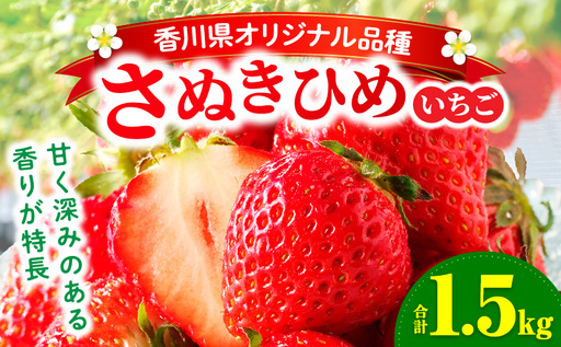 【先行予約】三木町地域いちご部会「さぬきひめ」1.5kg |いちご 苺 イチゴ さぬき姫 さぬきひめ 希少 甘い スイーツ ストロベリー 冷蔵 1kg以上 旬 果物 フルーツ 青果物 香川県  香川県オリジナルデザート おすすめ|_mk006-012