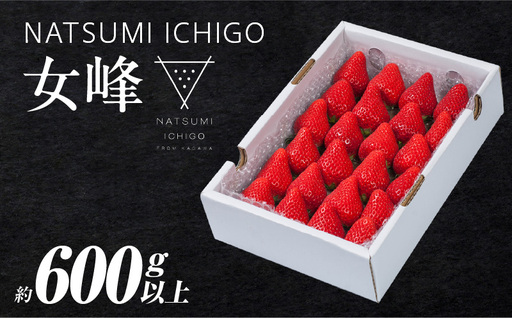 ≪先行予約≫ NATSUMI ICHIGO 女峰 約600g以上 (2027年1月〜6月配送) いちご フルーツ 果物 _mk060-002