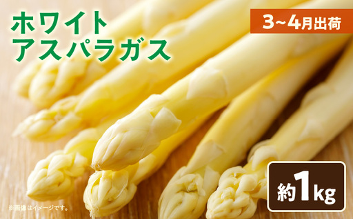 [先行予約]ホワイトアスパラガス約1kg(3〜4月出荷)|アスパラ アスパラガス ホワイトアスパラガス 新鮮 素材の味 春野菜 直送 香川県 三木町|_mk002-001