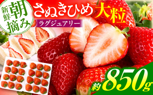 [先行予約]苺音ラグジュアリー〜冬の大粒さぬきひめいちご〜 約850g | スイーツ いちご イチゴ ストロベリー さぬきひめ さぬき姫 苺 冷蔵 フルーツ 旬 果物 香川県 デザート 青果物 おすすめ |_mk137-002