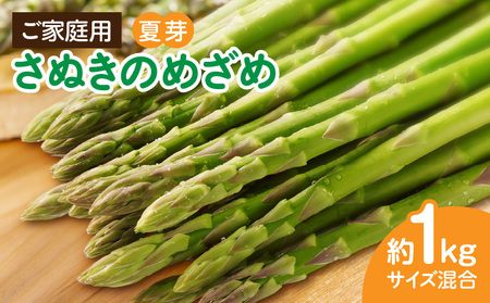 [先行受付]ご家庭用アスパラガス「さぬきのめざめ」(セミロング)夏芽 サイズ混合 約1kg | 野菜 アスパラ アスパラガス さぬきのめざめ 家庭用 夏 冷蔵 新鮮 香川県 三木町 セミロング おすすめ |_mk006-024