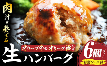 オリーブ牛&オリーブ豚入り生ハンバーグ 特製ソース付 150g×6個セット|オリーブ牛 ハンバーグ オリーブ豚 国産牛 肉汁の滝 特製ソース ステーキソース ジューシー 濃厚 冷凍 香川県 おすすめ|_mk146-163
