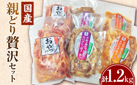 冷凍 国産親どり贅沢セット(スパイシー焼き・スタミナ焼き・ノーマルスライス) | 親鶏 親どり 味付き肉 もも肉 むね肉 塩 胡椒 ガーリック 醤油 みりん 味噌 焼き肉のタレ カット済 三木町 |_mk166-001