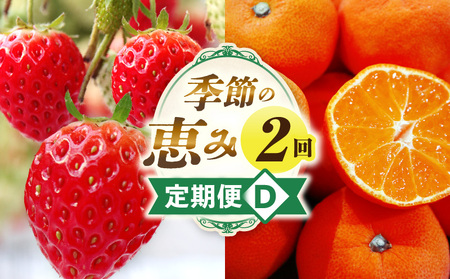 季節の恵み2回定期便D | 果物 定期便 果物定期便 フルーツ フルーツ定期便 定期 旬 旬の果物 旬のフルーツ 旬の定期便 いちご みかん 贈答 贈り物 ギフト 厳選 果実 青果物 果汁 ご褒美 デザート スイーツ 香川県 三木町 |_mk165-t004