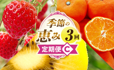 季節の恵み3回定期便C | 果物 フルーツ 青果 青果物 デザート スイーツ 果実 旬 季節 旬の果物 季節の果物 生鮮食品 生鮮 贈答 贈り物 ギフト プレゼント おすそ分け お祝い 内祝い ご褒美 人気 グルメ お取り寄せ 特産品 特産 国産 香川県 三木町 |_mk165-t018