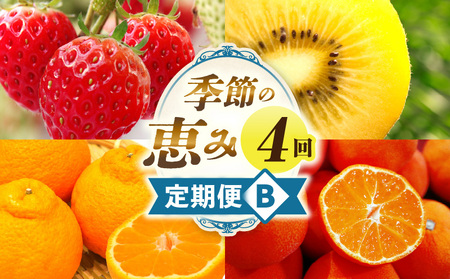 季節の恵み4回定期便B | 果物 フルーツ 青果 青果物 デザート スイーツ 果実 旬 季節 旬の果物 季節の果物 生鮮食品 生鮮 贈答 贈り物 ギフト プレゼント おすそ分け お祝い 内祝い ご褒美 人気 グルメ お取り寄せ 特産品 特産 国産 香川県 三木町 |_mk165-t026