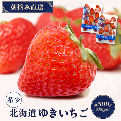 [2027年1月以降発送!][北海道産]ゆきいちご(すずor恋みのり) 2Pセット 各250g×2 計500g | 苺 いちご 一季成りイチゴ 希少 ギフト お取り寄せ ふるさと納税 北海道 中標津