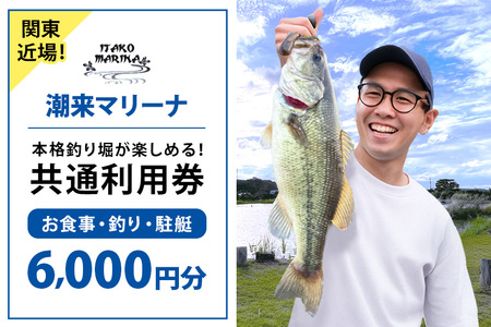 潮来マリーナ 施設内共通利用券 6,000円分 ( 1,000円 × 6枚 ) へらブナ釣り ブラックバス釣り ニジマス釣り 渚食堂 バスボート駐艇場利用可能 釣り堀体験 レジャー チケット 茨城県 潮来市