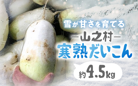 甘っ!寒熟だいこん 約4.5kg 2〜6本 / 野菜 だいこん