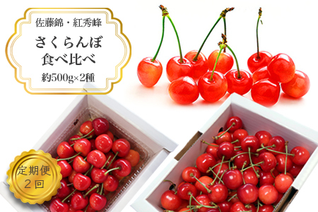 【2026年発送】【定期便2回】さくらんぼ約500g×2種_H176(R8)