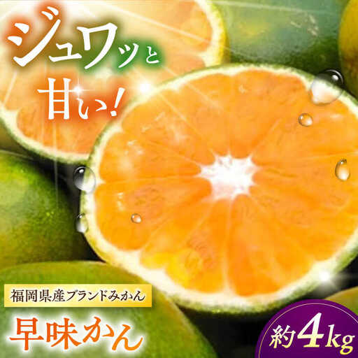 【2026年9月中旬より発送】福岡産ブランド みかん 早味かん 約4kg 桂川町/南国フルーツ株式会社 [ADBW023] 