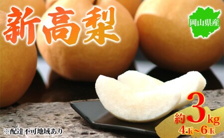 新高梨 和梨 岡山県産 新高梨[約3kg 4〜6玉][先行予約]