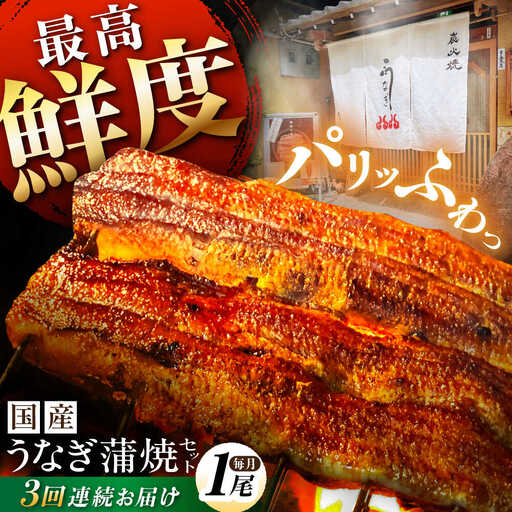 [3回定期便] 国産うなぎ 蒲焼 1尾 / 多幸八[AWBL007] うなぎ