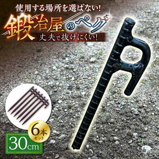 鍛造ペグ 30cm 6本セット / キャンプ キャンプ用品 ペグ キャンプ場 アウトドア用品 / 南島原市 / 重光刃物鍛造工場[SEJ019]