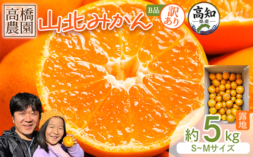 訳あり 山北みかん 5kg みかん th-0031