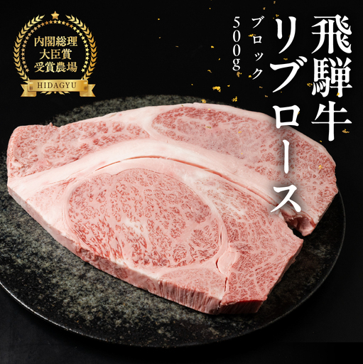 飛騨牛 リブロースブロック 500g 【22-43】