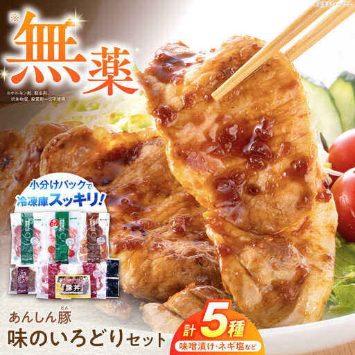 豚肉 味のいろどりセット 5種 藤井ファーム [AWAF002]