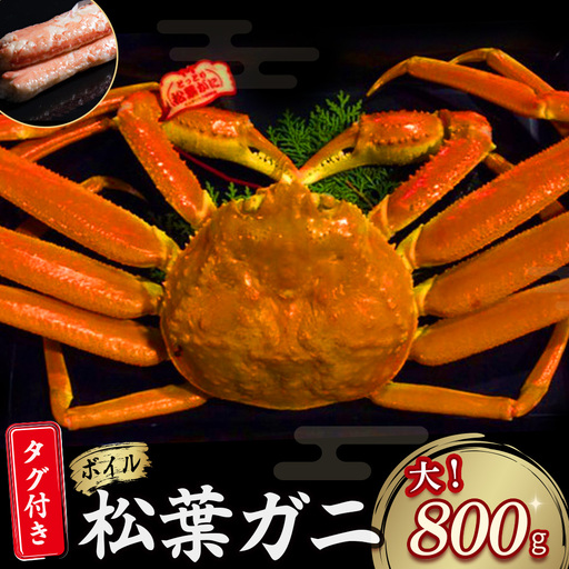 【先行予約】【魚倉】タグ付き ボイル 松葉ガニ（大800g）松葉ガニ