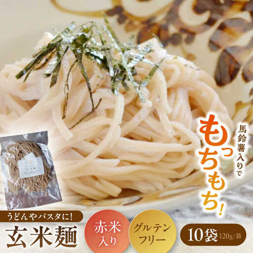 お山の玄米麺 計1.2kg（120g×10パック） Sunpo[AWBC003]麺