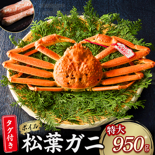 [先行予約][魚倉]タグ付き ボイル 松葉ガニ (特大950g) かに 蟹 カニ