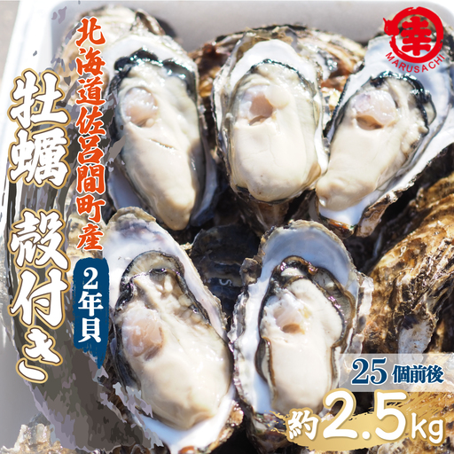 【先行受付】カキ 殻付き 2年貝 約2.5kg（25個前後） 佐呂間産（10月中旬以降順次発送開始予定） SRMA002