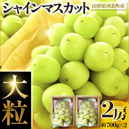 ぶどう シャインマスカット 大粒 2房 700g×2 令和8年産 ぶどう