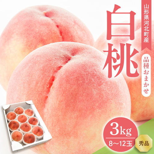 桃 白桃 3kg 品種おまかせ 8-12玉 令和8年産 桃 フルーツ