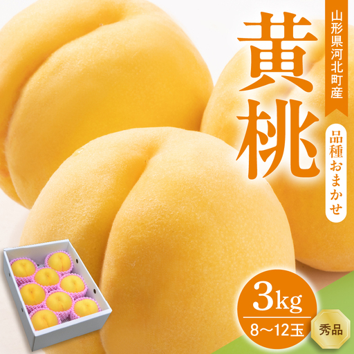 桃 黄桃 3kg 品種おまかせ 8-12玉 令和8年産 桃 フルーツ