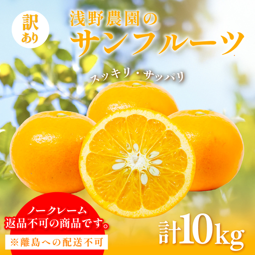 【先行予約】【訳あり】浅野農園のサンフルーツ 計10kg ※離島への配送不可（2027年3月中旬頃より順次発送予定） IKTAC011