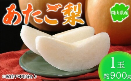梨 2026年先行予約 岡山県産 あたご梨 約900g 1玉  岡山県産 梨