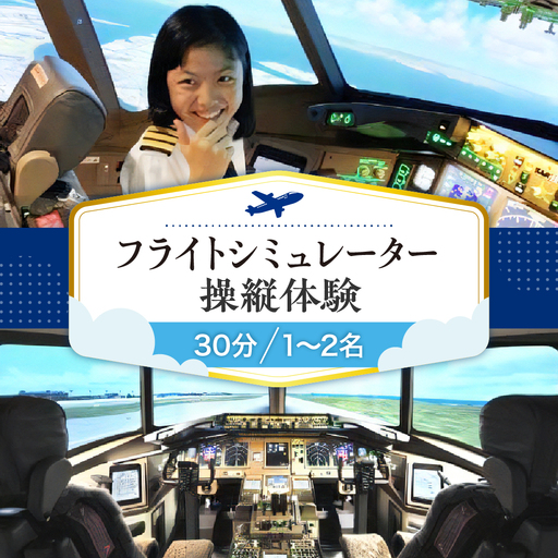 フライトシミュレーター操縦体験30分コース