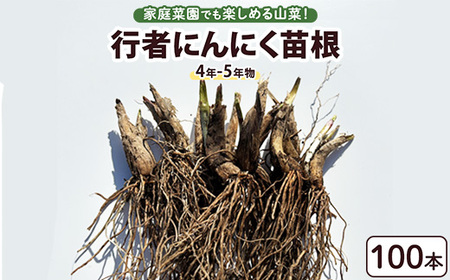 行者にんにく 苗根 100本(4年〜5年物) | にんにく ニンニク ガーリック 家庭菜園 栽培 野菜苗 野菜 薬味 料理 産地直送 那須 栃木県 那須町〔E-56〕