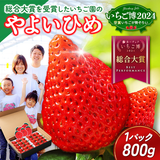 【いちご博総合大賞】やよいひめ 約800g | いちご 苺 イチゴ ストロベリー 冷蔵 甘い 新鮮 完熟 大粒 果物 フルーツ 産地直送 農家直送 国産 人気 おすすめ 高級 ギフト 贈答 プレゼント お祝い 大賞受賞 高評価 群馬県 伊勢崎市 先行受付 先行予約 ※2027年1月～発送