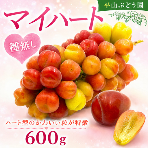 [2026年発送]ぶどう マイハート 600g (1房)