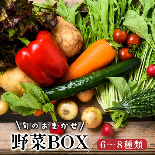 京都 舞鶴 季節の野菜BOX 詰め合せ セット 6～8種類