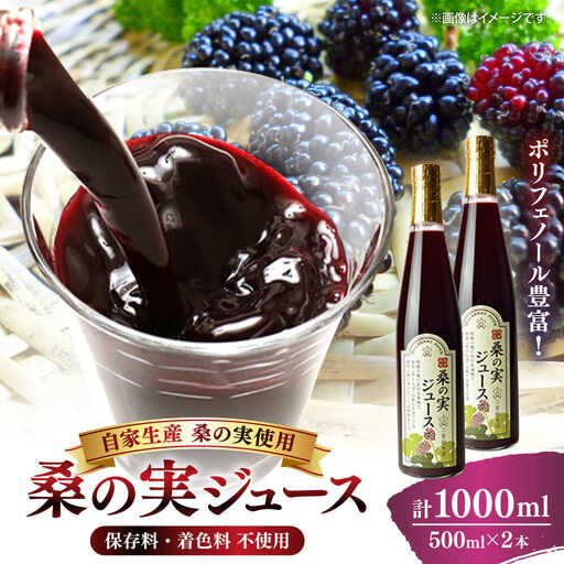峯樹木園 桑の実ジュース 500ml×2本セット ジュース[AYAB019]