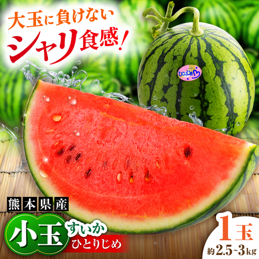 [先行予約][2027年4月中旬より順次発送]小玉すいか 1玉入(約2.5kg〜3kg) スイカ[AYAB023]
