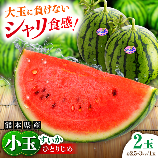 [先行予約][2027年4月中旬より順次発送]小玉すいか 2玉入(1玉 約2.5kgから3kg) スイカ[AYAB056]